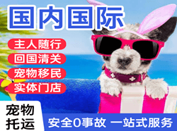 义乌航空物流国际宠物托运 【国